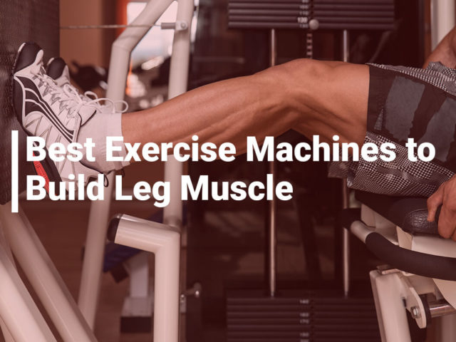 Best Exercise Machines to Build Leg Muscle